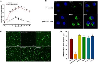 Ceramide-Graphene Oxide Nanoparticles Enhance Cytotoxicity and Decrease HCC Xenograft Development: A Novel Approach for Targeted Cancer Therapy